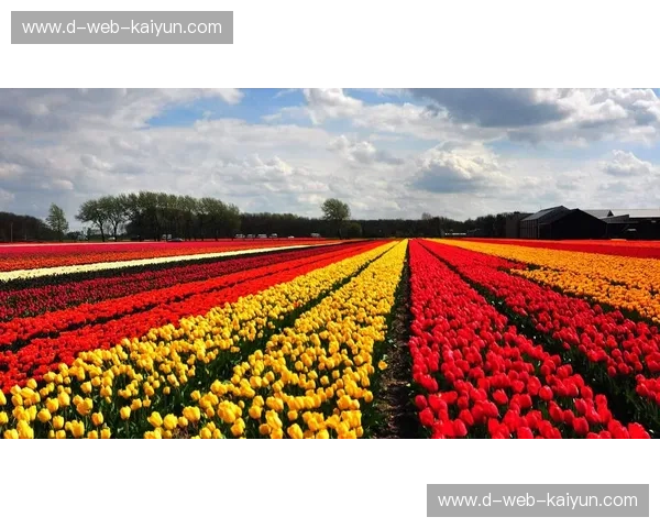 蓝橙风暴：当法兰西的华丽意志撞上郁金香的全面革新